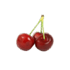 Branch Apple