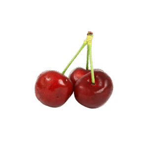 Branch Apple